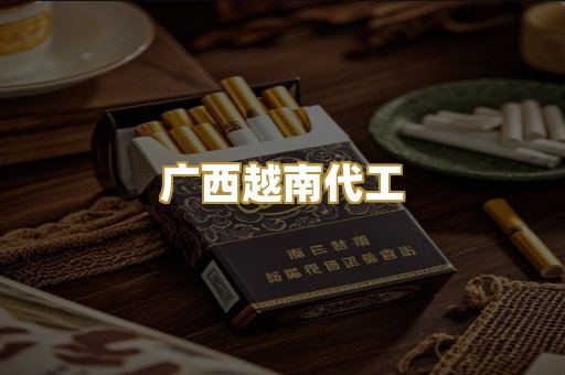 广西越南代工