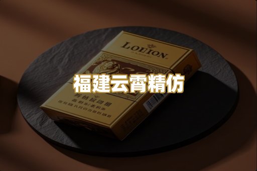 福建云霄精仿